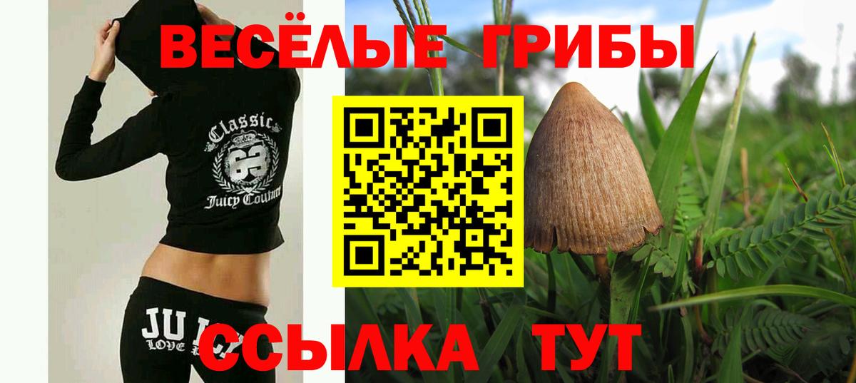 Красноуфимск  Псилоцибиновые грибы MAGIC MUSHROOMS  Вход с VPN  купить  цена  Галлюциногенные грибы мухоморы 